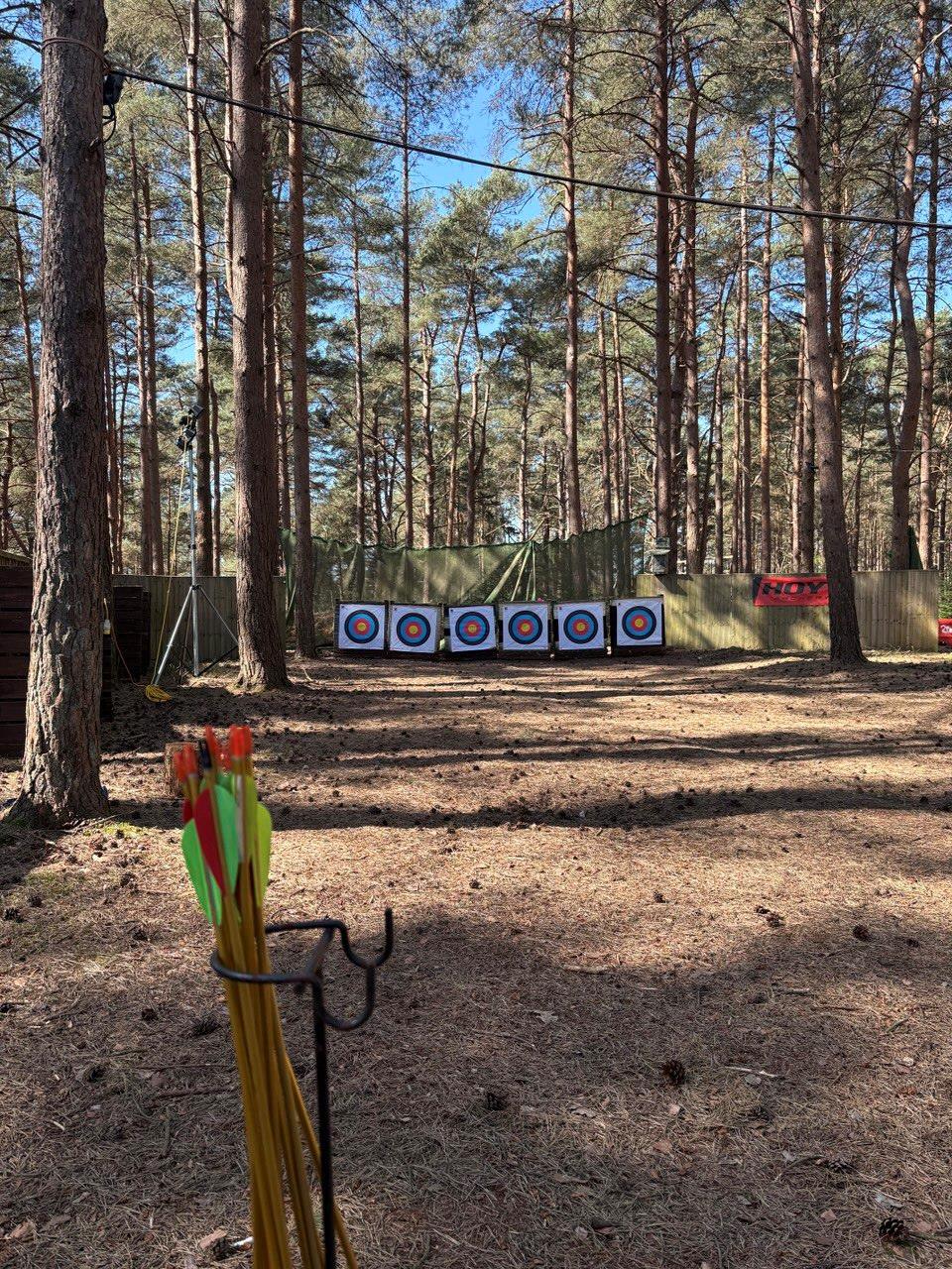 Six archery targets set up across a clearing in the pine woodland, arrows in the foreground