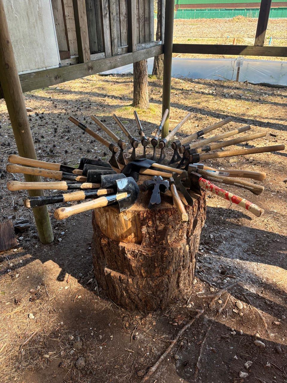 A rack of throwing axes, hatchets and tomahawks used in sessions